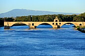 France, Vaucluse, Avignon, Saint Benezet bridge (XII) on the Rhone, listed as World Heritage by UNESCO