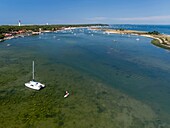 France, Gironde, Bassin d'Arcachon, lege-cap-ferret, the conch of Mimbeau, La Cabane du Mimbeau (aerial view)