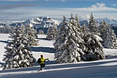 Frankreich, Haute Savoie, Massif des Bauges, Schneeschuhwandern auf der Hochebene von Semnoz oberhalb von Annecy und das Bornes-Massiv mit dem Tournette-Berg