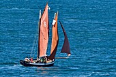France, Cotes d'Armor, old rigging sailing along the pink granite coast