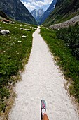 France, Isere, Saint-Christophe-en-Oisans, foot of a hiker in the Étançons valley
