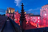 Frankreich, Vaucluse, Avignon, Palast der Päpste (XIV), von der UNESCO zum Weltkulturerbe erklärt, Helios Heritage Highlight Festival, Show Vibrations 2018