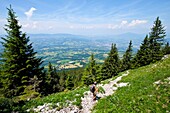 France, Haute Savoie, Thorens-Glières, view on the Foron plain from Sous-Dine