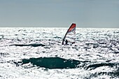 France, Bouches du Rhone, Blue Coast, Martigues, neighborhood of Carro, Pointe de Carro, windsurfer