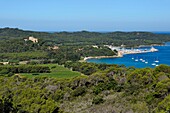 Frankreich, Var, Iles d'Hyeres, Parc National de Port Cros (Nationalpark von Port Cros), Insel Porquerolles, die Weinberge der Ebene von Courtade, überragt vom Fort Sainte Agathe