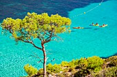 France, Bouches du Rhone, Marseille, Calanque of Sormiou, Calanques National Park