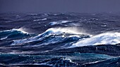 France, Indian Ocean, French Southern and Antarctic Lands listed as World Heritage by UNESCO, violent storm, Beaufort scale 10 gusting to 11 in the roaring forties, picture taken aboard the Marion Dufresne (supply ship of French Southern and Antarctic Territories) underway from Crozet Islands to Kerguelen Islands