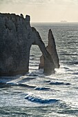 France, Seine Maritime, Cote d'albatre, Etretat, the cliff, arch and needle