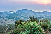 Frankreich, Pyrenees Orientales, Banyuls, Berg Alberes, Überblick über den Ort bei Sonnenaufgang