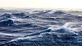France, Indian Ocean, French Southern and Antarctic Lands listed as World Heritage by UNESCO, violent storm, Beaufort scale 10 gusting to 11 in the roaring forties, picture taken aboard the Marion Dufresne (supply ship of French Southern and Antarctic Territories) underway from Crozet Islands to Kerguelen Islands