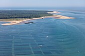 France, Charente Maritime, La Tremblade, oyster farms before the Pointe du Galon d'Or (aerial view)