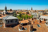 Frankreich, Haute Garonne, Toulouse, die Dächer der Altstadt
