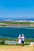 Frankreich, Finistère (29), Pays des Abers, Côte des Legendes, l'Aber Wrac'h, Lilia-Archipel und der Leuchtturm der Insel Wrac'h im Hintergrund