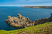 France, Bretagne, Finistere, Regional Natural Park of Armorica, Marine Natural Park of iroise, Plogoff, the Pointe du Raz ranked Grand National Site