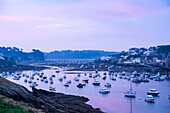 France, Finistere, Le Conquet at dawn, fishing port in the marine natural park of Iroise