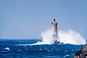 France, Finistere, Porspoder, Landunvez, Presqu'île de Saint Laurent, Chenal du Four, The Four lighthouse under storm, Historical monument classified