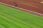 France, Bouches du Rhone, Marseille, 8th arrondissement, Bonneveine district, Borély racetrack, trotting race