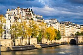 France, Paris, the banks of the Seine river listed as World Heritage by UNESCO, quai d'Orléans on Ile Saint-Louis