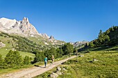 France, Hautes Alpes, Nevache, La Claree valley, hikers on the GR pays du Tour du Mont Thabor, in the background the massif of Cerces (3093m) and the peaks of the Main de Crepin (2942m)