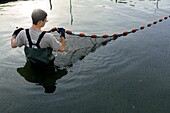 Frankreich, Bouches du Rhone, Saint Chamas, Etang de Berre, Fischzuchtbetrieb von La Durançole