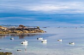 France, Finistere, Iroise Sea, Porspoder, surroundings of Melon island