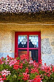 Frankreich, Finistere, Pays des Abers, blumengeschmücktes Fenster im Weiler Meneham in Kerlouan