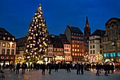 Frankreich, Bas Rhin, Straßburg, Altstadt, die von der UNESCO zum Weltkulturerbe erklärt wurde, der große Weihnachtsbaum auf dem Place Kléber und die Kathedrale Notre Dame im Hintergrund