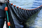 Frankreich, Bouches du Rhone, Chateauneuf les Martigues, Jaï, Berre-Teich, Ringwadenfischerei