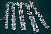 France, Morbihan, La Trinite sur Mer, the pontoon of the marina (aerial view)