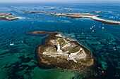 Europe, France, Finistere, Glenan Archipelago, Stork Island, Strong stork (aerial view)