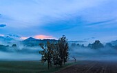 France, Haute-Garonne, Comminges, Montgaillard-de-Salies, benches of mist on the peaks and forests of a landscape of middle mountain