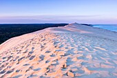 Frankreich, Gironde, Pyla-sur-Mer, La Teste de Buch, gelistet als Grand Site, Blick auf die Düne des Pilat bei Sonnenaufgang