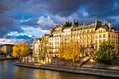 France, Paris, the banks of the Seine river listed as World Heritage by UNESCO, quai d'Orléans on Ile Saint-Louis