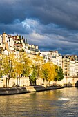 Frankreich, Paris, die Ufer der Seine, die von der UNESCO zum Weltkulturerbe erklärt wurden, Quai d'Orléans auf der Ile Saint-Louis