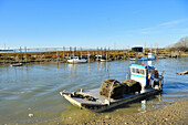 Frankreich, Charente Maritime, Saintonge, Marennes, der Austernhafen von La Cayenne an der Mündung des Flusses Seudre, Austernhütten und der Kanal von Marennes