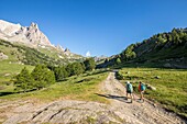 France, Hautes Alpes, Nevache, La Claree valley, hikers on the GR pays du Tour du Mont Thabor, in the background the massif of Cerces (3093m) and the peaks of the Main de Crepin (2942m)