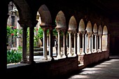 France, Var, Frejus, the St. Leonce cathedral (16th century), 12th century canonical cloister