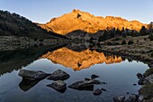 France, Hautes Pyrenees, Neouvielle Nature Reserve, Neouvielle massif (3091m) and Aumar Lake at sunrise