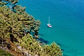 France, Finistere, Armoric Regional Naturel Park, Crozon Morgat, Saint Hernot, Virgin Island point, Sailing over the blue lagoon Crozon water