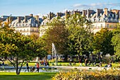 France, Paris, the Tuileries Garden in autumn