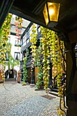 France, Bas Rhin, Strasbourg, old city listed on UNESCO World Heritage list, Alsatian museum