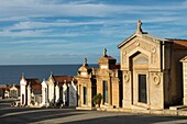 Frankreich, Corse du Sud, Ajaccio, Im Inneren des Marinefriedhofs an der Straße von Sanguinaires