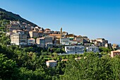 Frankreich, Haute Corse, Cervione, Gesamtansicht des Dorfes, das die östliche Ebene zum Meer und die Kathedrale Saint Erasmus dominiert
