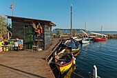 France, Herault, Bouzigues, marina, traditional lateen sails