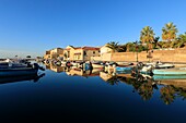 Frankreich, Herault, Loupian, Etang de Thau, Austernbänke, Mont Saint Clair in Sete im Hintergrund