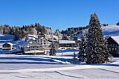 Frankreich, Jura, GTJ große Überquerung des Jura auf Schneeschuhen, das Dorf La Pesse unter dem Schnee