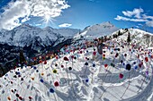 Frankreich, Haute Savoie, Massiv des Mont Blanc, die Contamines Montjoie, Land Art auf den Pisten des Skigebiets, die Installation der Wollblumen von Niki Heddle