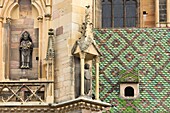 France, Haut Rhin, Route des Vins d'Alsace, Colmar, facade of the 13th century Saint Martin Collegiate church in gothic style