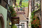 France, Haut Rhin, Route des Vins d'Alsace, Riquewihr labelled Les Plus Beaux Villages de France (One of the Most Beautiful Villages of France), facades of stone houses, shop signs and vineyard in the background
