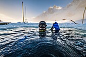 Frankreich, Isère (38), Belledonne, Chamrousse, Robert Lakes, ein Taucher taucht gerade unter das Eis - Dive Xtreme